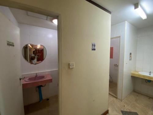 清迈Nearthepark Backpack Hostel 3的浴室设有粉红色的盥洗盆和镜子