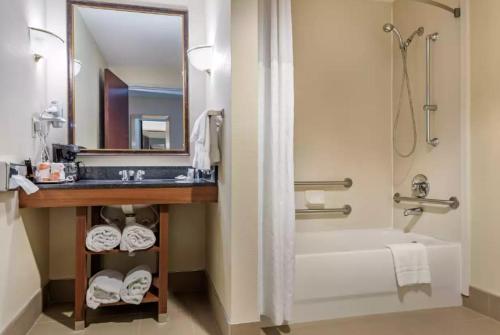 希布伦辛辛那提机场康福特套房酒店的一间带水槽、浴缸和镜子的浴室