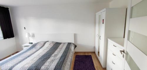 利贝雷茨Apartmán Pod Ještědem的一间小卧室,配有一张床和一个梳妆台
