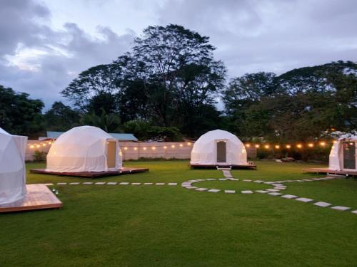 乌维塔Yubarta Lodge的一群帐篷在田野里,灯光照亮