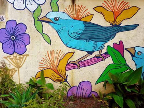 戈亚斯州上帕莱索Villa Ágape - Chapada dos Veadeiros的花墙上两只鸟的画