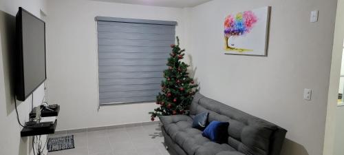 HuejotzingoDepartamento Aeropuerto Puebla的客厅配有圣诞树和沙发