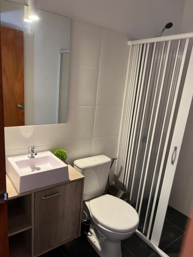 派桑杜Apart del Este 4的浴室配有白色卫生间和盥洗盆。