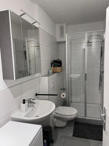 吕登沙伊德Zentral gelegenes Apartment - DSL, Küche, Balkon, Parkplatz的带淋浴、盥洗盆和卫生间的浴室