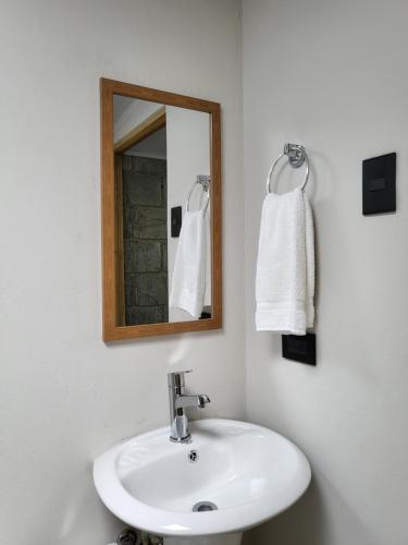 埃雷迪亚Casa del Café - Loft的浴室设有白色水槽和镜子