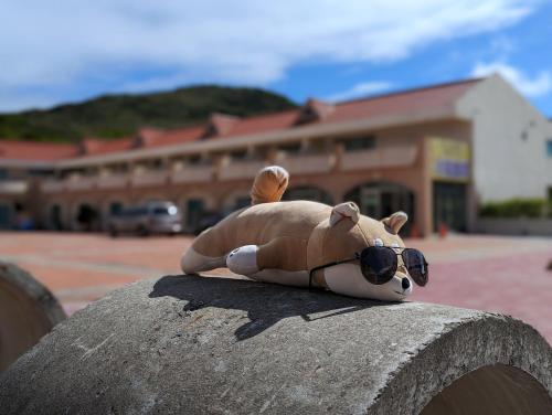垦丁大街垦丁福华小湾会馆的戴着太阳镜的泰迪熊坐在墙上