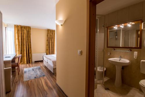 蒂米什瓦拉皮尔拉酒店的酒店客房设有带水槽的浴室和一张床