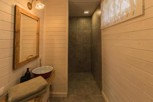 SîncrăieniOrganicle Lodge的一间带水槽、卫生间和镜子的浴室