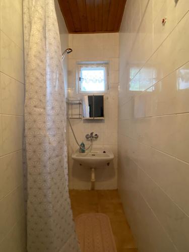 特日内茨Chaty Pod Javorovým的一间带水槽和淋浴的小浴室