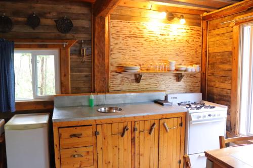 L’Anse-au-Griffon格里芬艳遇木屋旅舍的小屋内的厨房配有炉灶和水槽