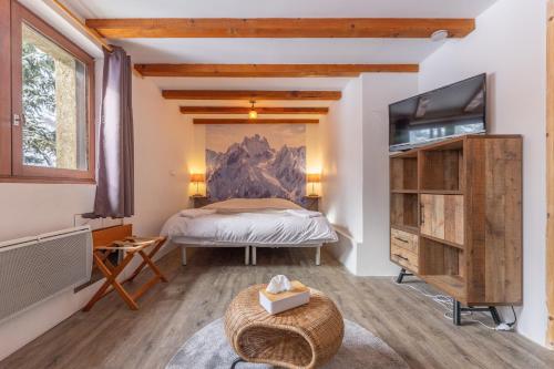 Villar-dʼArèneREFUGE- GITE Le Pas de l'Ane的一间卧室配有一张床和一台平面电视