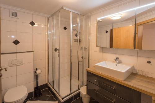 萨尔巴赫英格伯格住宿加早餐旅馆的带淋浴、盥洗盆和卫生间的浴室
