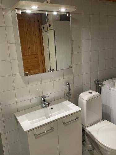 萨利色尔卡Panoraama 2的一间带卫生间、水槽和镜子的浴室