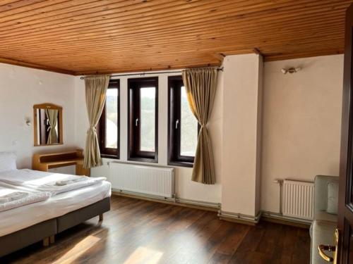 Бор и Шишарка的一间卧室设有一张床和一些窗户。