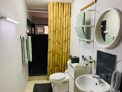 特马Stunning 1-Bed House in Tema- Oheneba villa的浴室配有卫生间、盥洗盆和淋浴。
