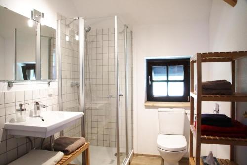马尔欣Naturerlebnis的浴室配有卫生间、盥洗盆和淋浴。