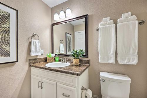 本顿维尔Gorgeous Bentonville Vacation Rental!的一间带水槽、卫生间和镜子的浴室