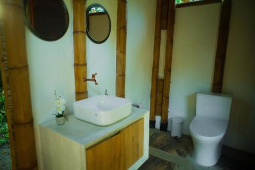 卡门阿皮卡拉8 Caminos Glamping的一间带水槽和卫生间的浴室