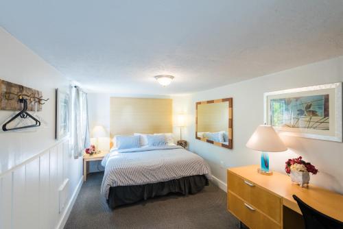 派恩代尔Gannett Peak Lodge的一间卧室配有一张床和一张带台灯的书桌