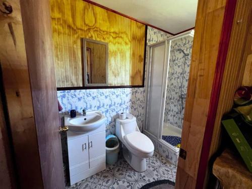 延基韦Lugar de descanso, con Tinaja al aire libre.的浴室配有卫生间、盥洗盆和淋浴。