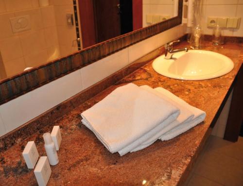 弗里代克-米斯泰克Hotel Terasa的浴室柜台设有水槽和白色毛巾