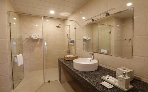 廷布Thimphu Deluxe Hotel的一间带水槽和淋浴的浴室