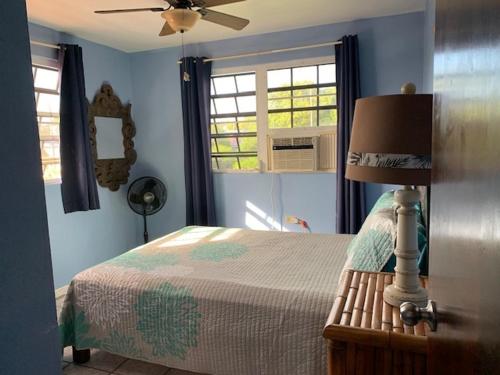 别克斯Esperanza Inn Guesthouse的一间卧室配有一张床和吊扇
