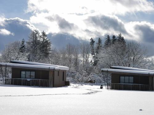 BagnolsAuvergne chalets Sancy的雪中几座树成荫的建筑