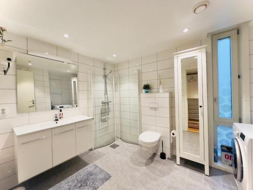 卑尔根Cityfjord apartment in Bergen centrum的白色的浴室设有卫生间和水槽。