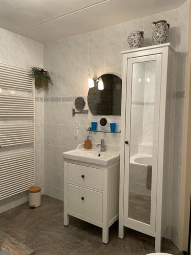 巴伦德雷赫特Bed and breakfast devijfbees的白色的浴室设有水槽和淋浴。