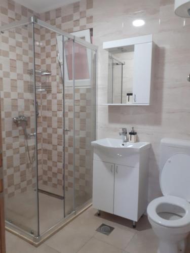 帕莱Apartman Garic的带淋浴、卫生间和盥洗盆的浴室