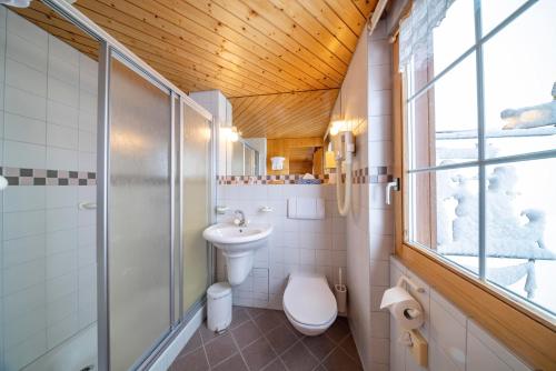 SchönengrundHotel und Restaurant Chäseren的浴室配有卫生间、淋浴和盥洗盆。