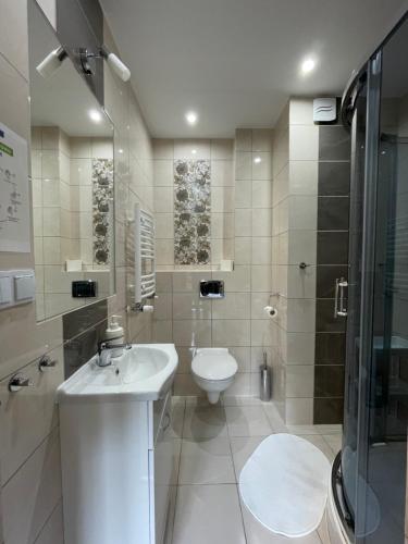 扎沃亚Górskie Zacisze的浴室配有卫生间、盥洗盆和淋浴。