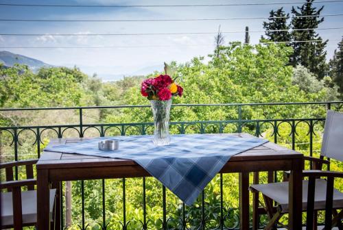 达西亚阿夫拉别墅酒店的花瓶坐在阳台上的桌子上