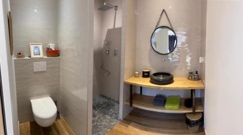 Arras-en-LavedanLe hautacam的浴室设有镜子、盥洗盆和卫生间