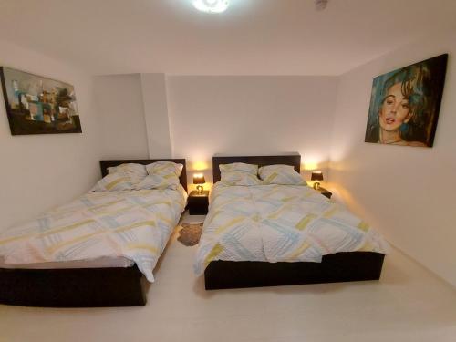 VichtenSeveral different rooms, newly furnished, in a new house in Vichten的卧室内两张并排的床