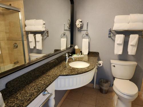 日内瓦湖阿比度假酒店的一间带水槽、卫生间和镜子的浴室