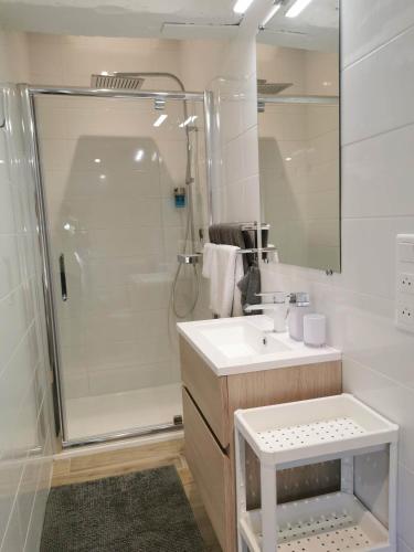 阿尔勒Arles Holiday - Le Refuge的带淋浴和盥洗盆的白色浴室
