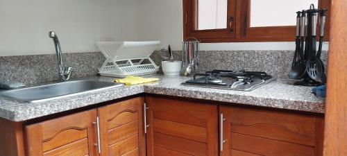 莱瓦镇Casa Leo的厨房柜台设有水槽和炉灶。