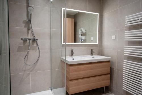 布隆T2 de standing, hôpitaux Montchat的带淋浴、盥洗盆和镜子的浴室