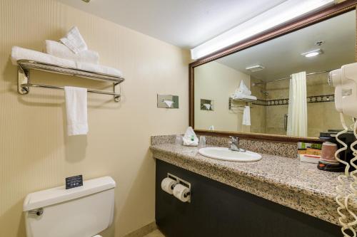 大章克申大章克申宏远酒店的一间带卫生间、水槽和镜子的浴室