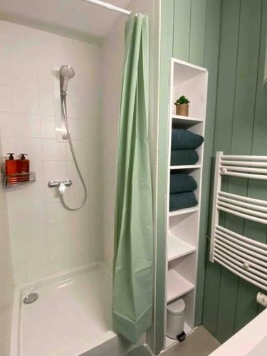 布雷斯地区布尔格Vaste Appartement Rénové - Centre Ville的一间带绿色淋浴帘的淋浴的浴室