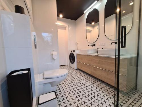 卡尔帕奇Rezydencja Green Hill - ekskluzywny dom w Karpaczu的浴室设有卫生间、水槽和镜子。