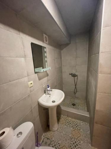 第比利斯Vato Home的一间带水槽和卫生间的小浴室