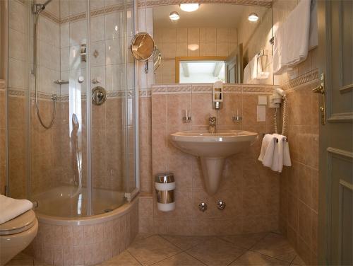 霍亨斯泰因-埃尔恩斯塔尔Hotel DREI SCHWANEN - Ristorante Due Fratelli的一间带水槽、淋浴和卫生间的浴室