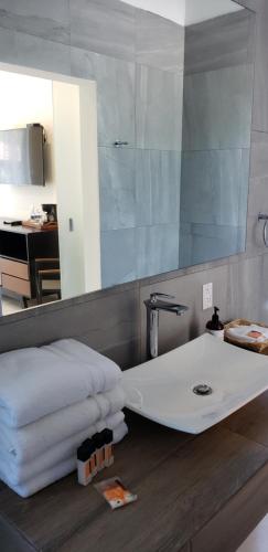 圣玛丽戴尔奥罗Hotel CaLu 2 en La Laguna, Santa María del Oro的浴室配有盥洗盆、镜子和毛巾
