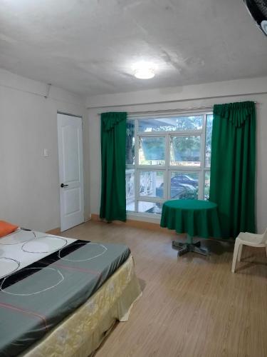 伊洛伊洛Guest Homey的一间卧室配有绿色窗帘、一张床和窗户