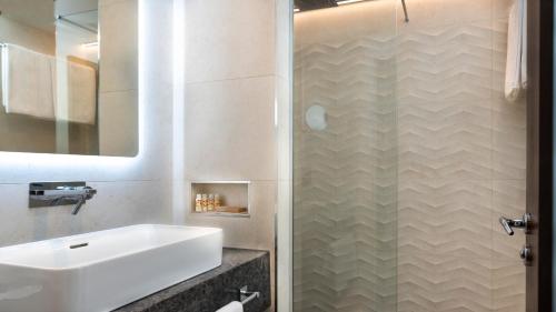 都柏林卡姆登科特酒店的一间带水槽和淋浴的浴室