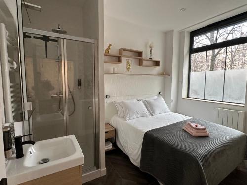 巴黎Logement GUÉNOT pour 5 personnes sur Paris 11的一间卧室配有一张床、淋浴和盥洗盆