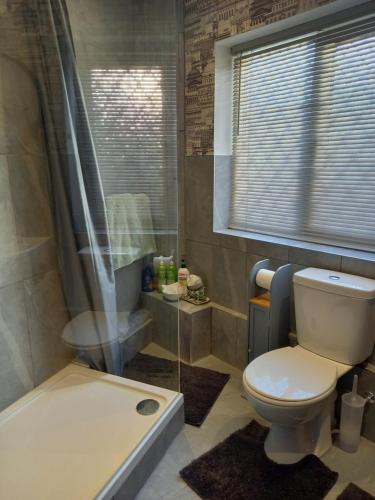 约克Middlethorpe Apartment的一间带卫生间和淋浴的浴室